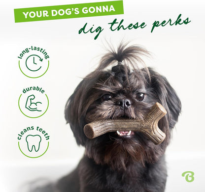 Maplestick/Bacon Stick Durable Dog Chew Toy for Aggressive Chewers, Made in USA