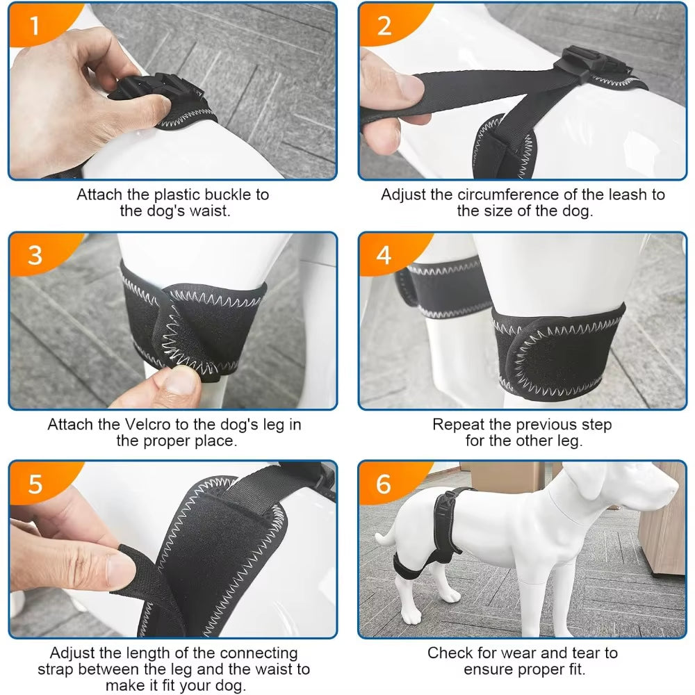 FlexiPaws Hip Brace – Comfort & Support for Stronger, Healthier Hips